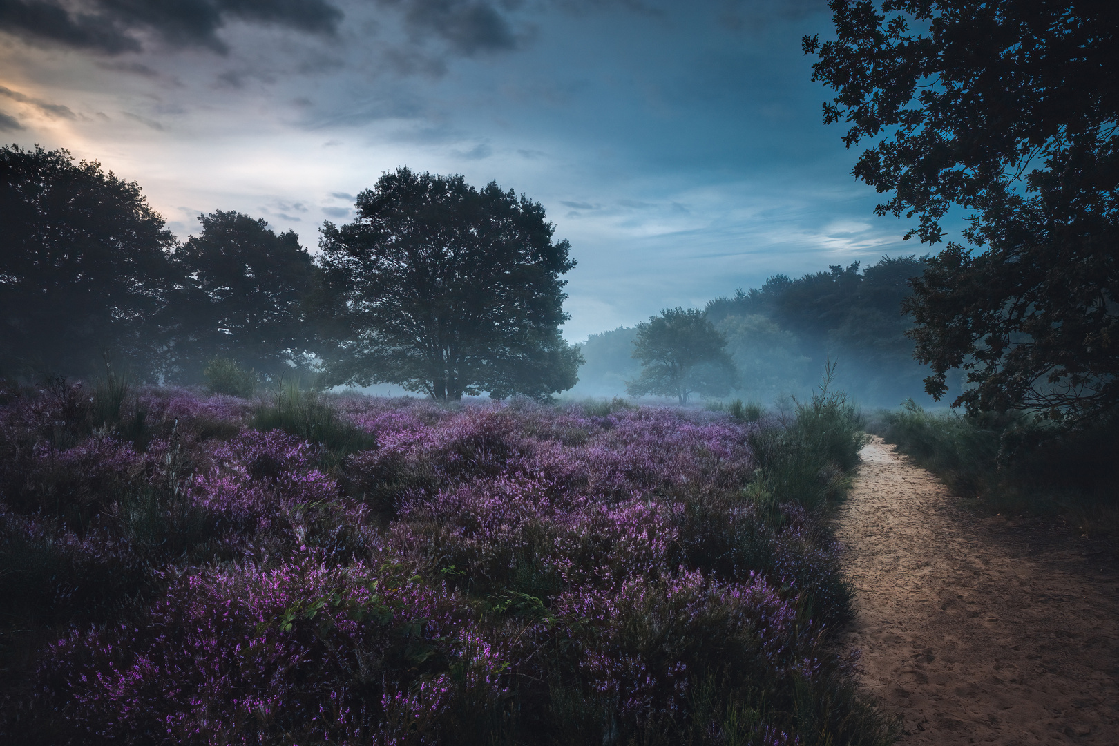 Heide Landschaft IV