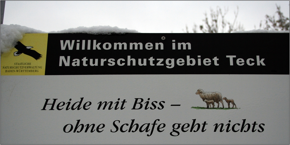 Heide mit Biss....