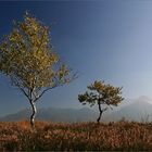 Heide-Moor-Alpen: Rottauer Filze