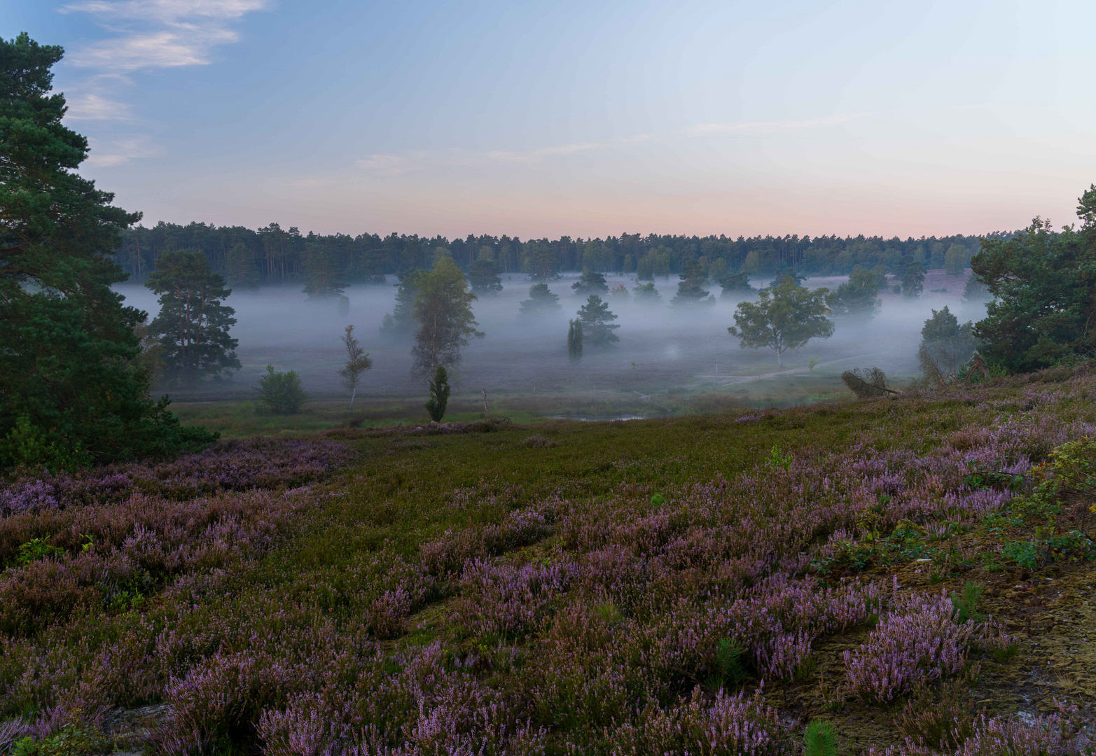 Heide Nebel