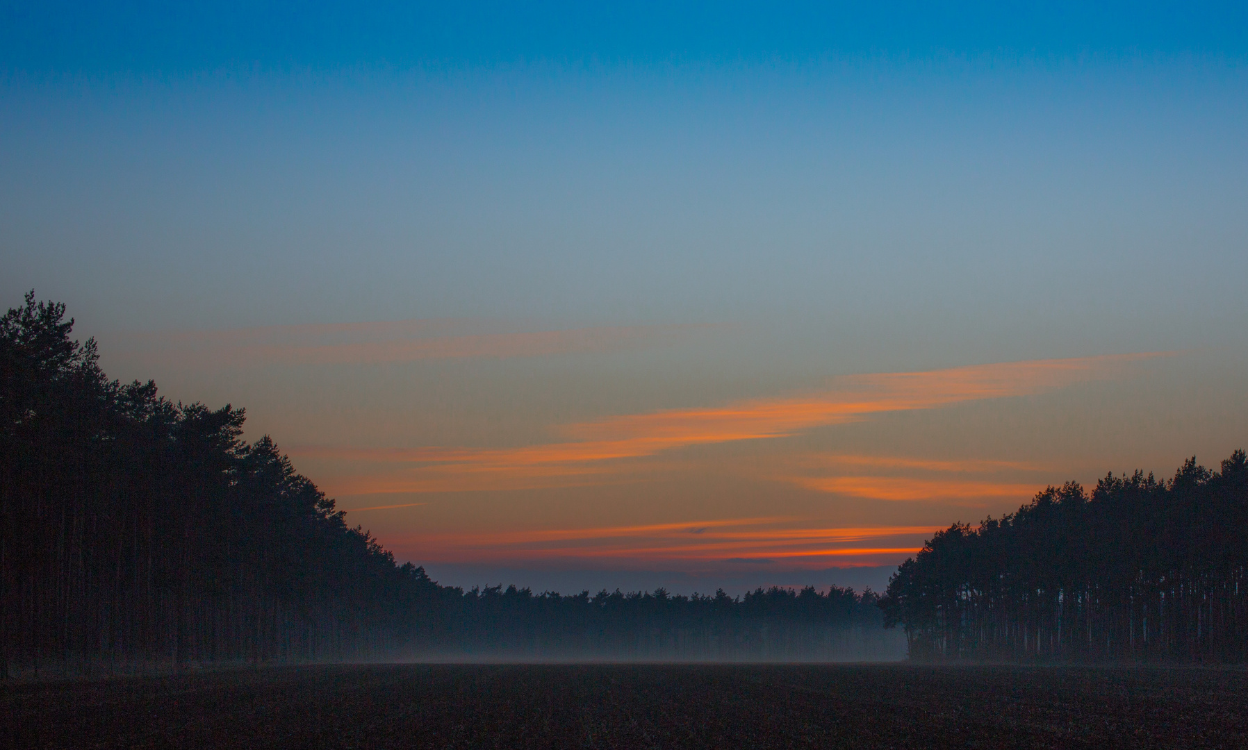 Heide Nebel