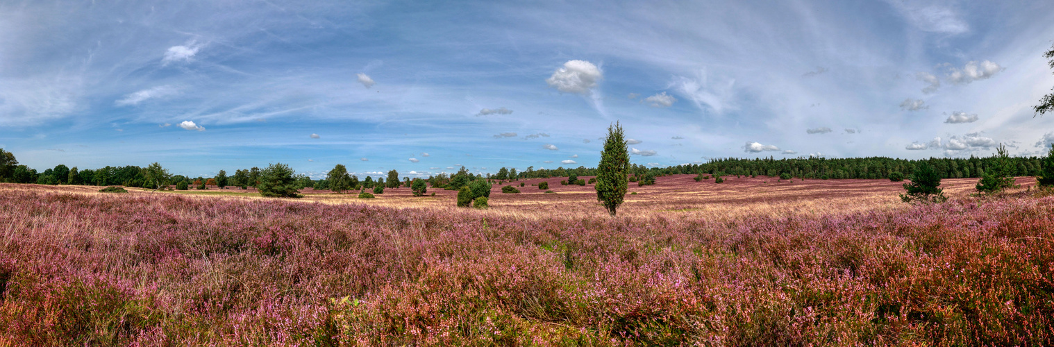 Heide-Panorama-1