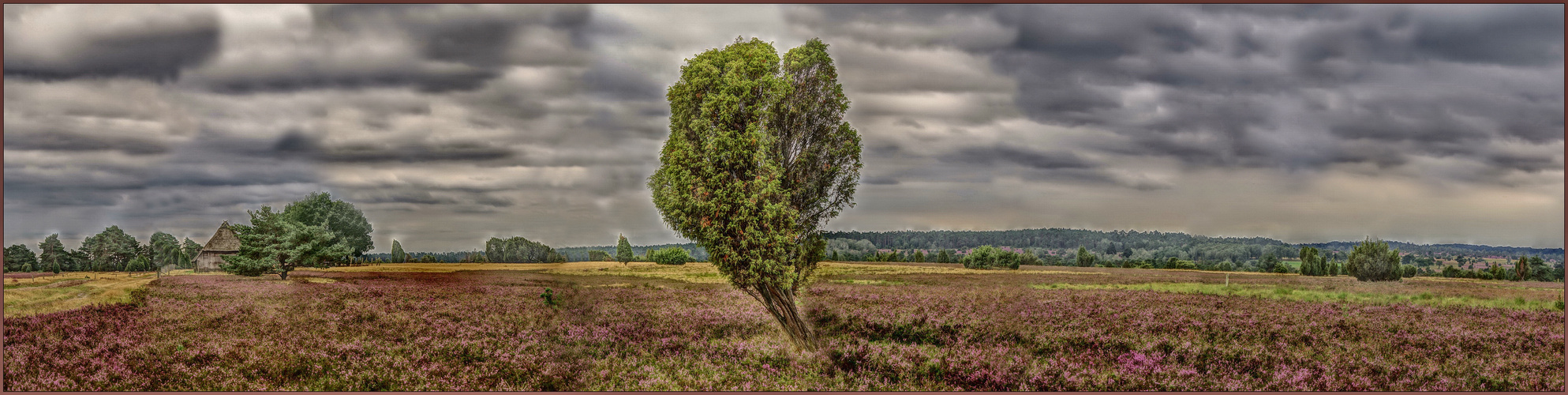 Heide Panorama