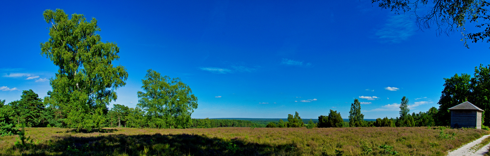 Heide-Panorama