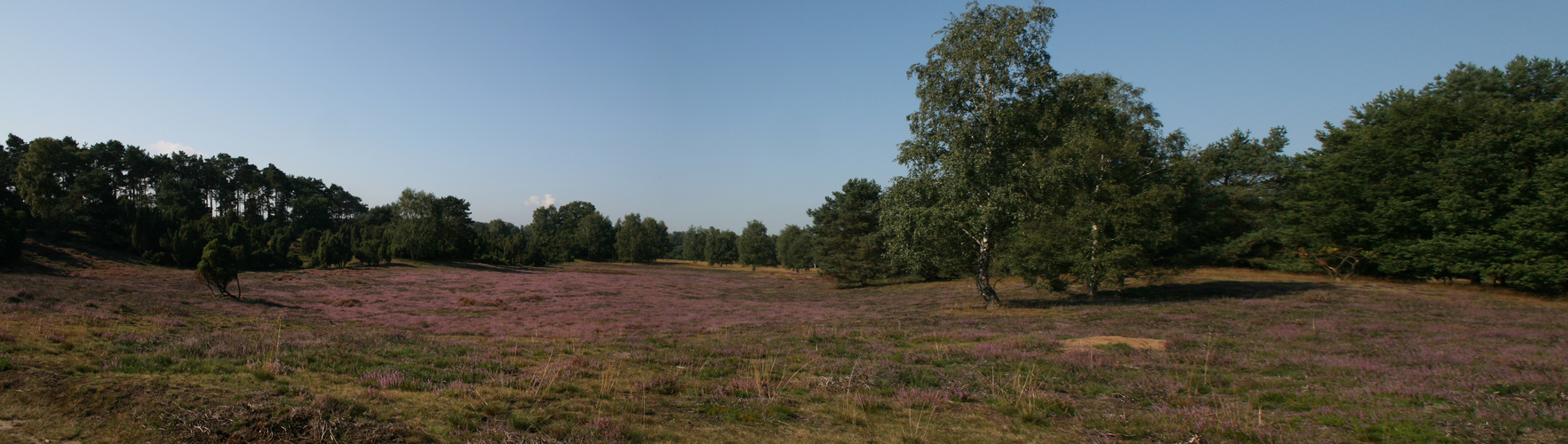 Heide Panorama