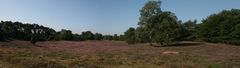 Heide Panorama