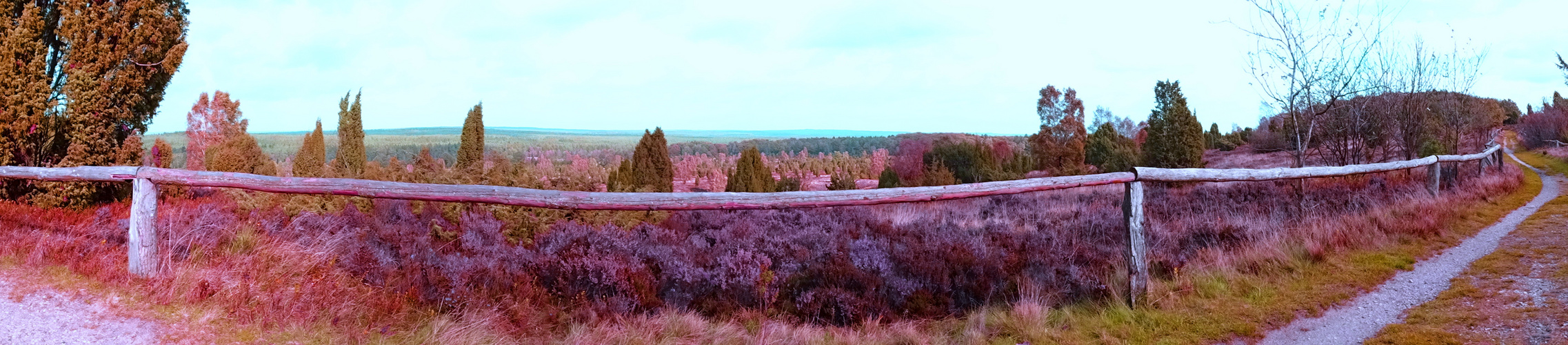 Heide Panorama