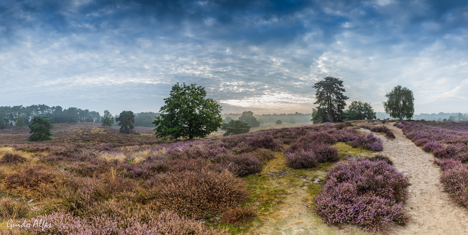 Heide Panorama