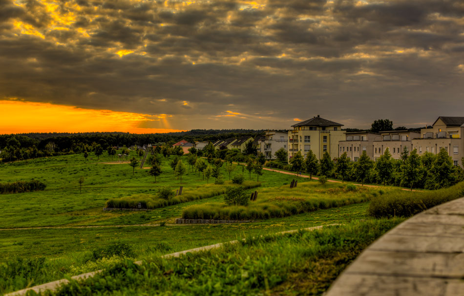 Heide Süd Parklandschaft