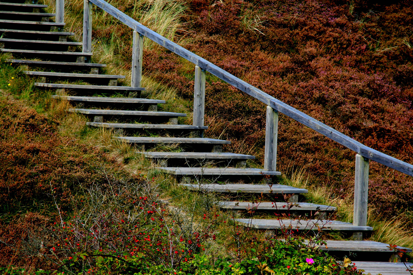 Heide-Treppe I