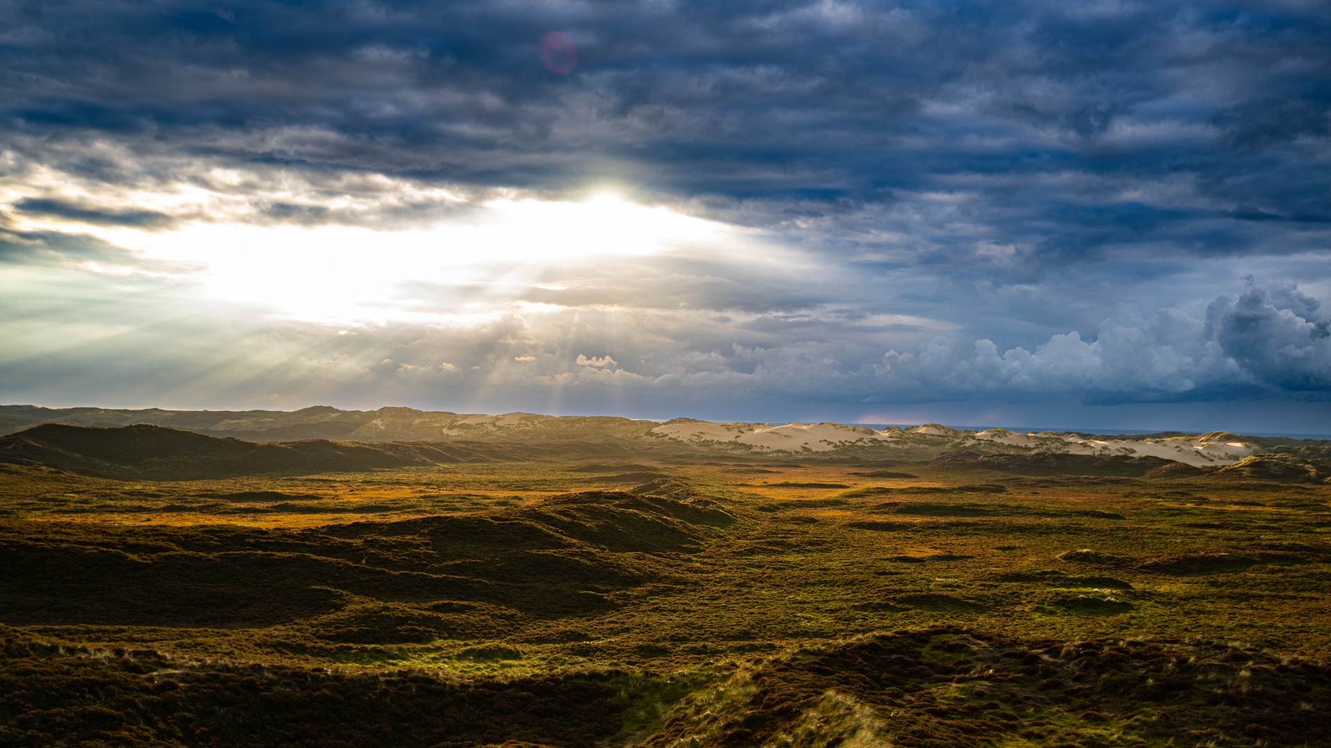 Heide und Dünen im Abendlicht