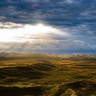 Heide und Dünen im Abendlicht