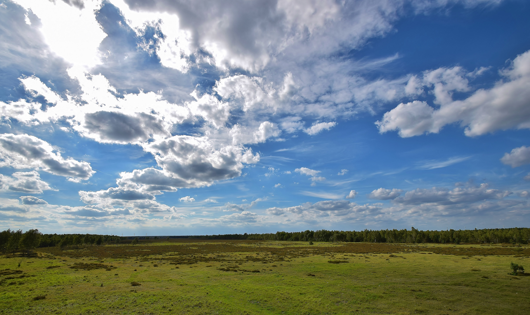 Heide und Himmel