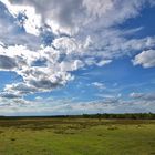 Heide und Himmel