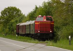 Heideexpress hinter Neetze 2