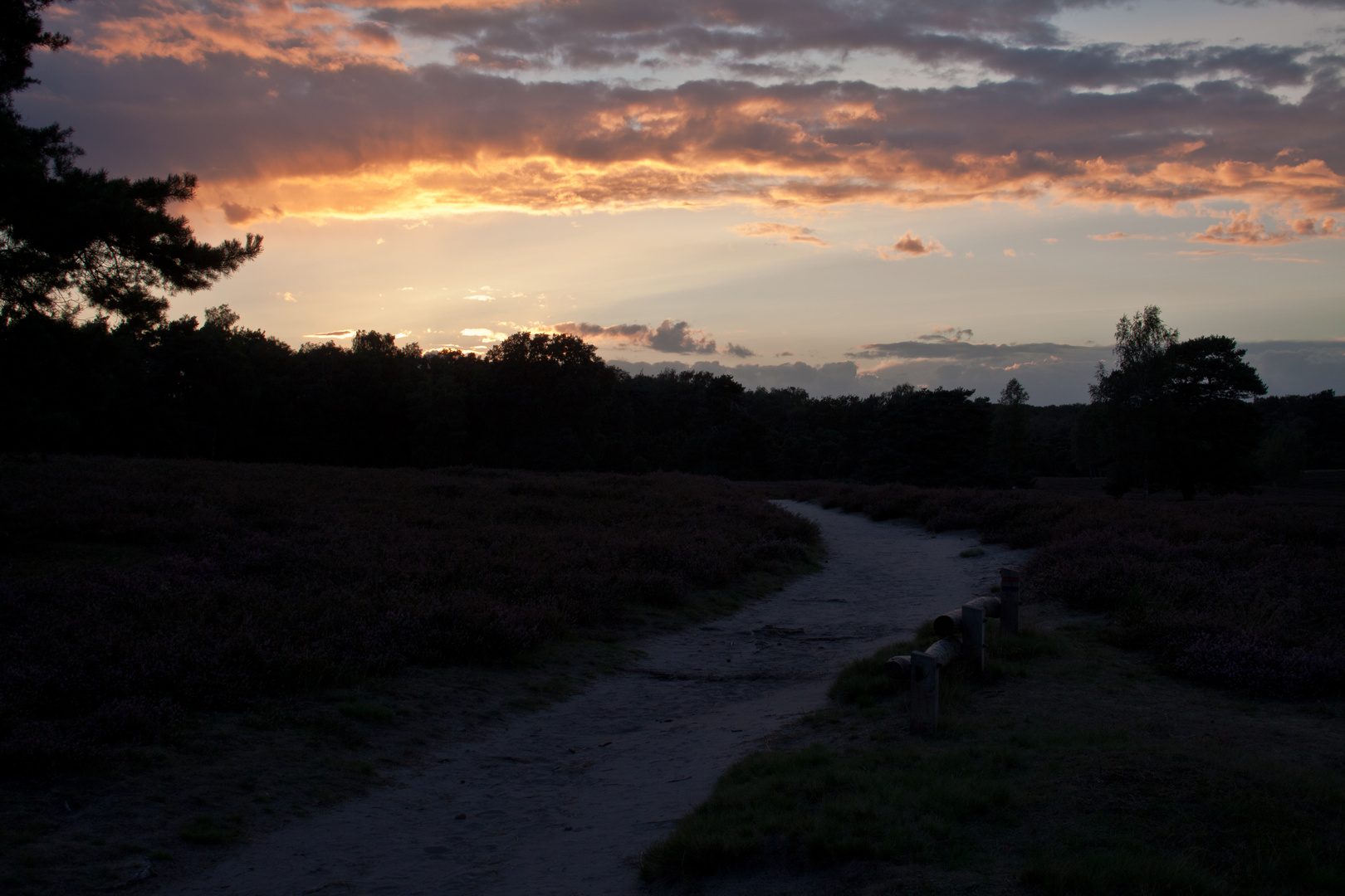 Heidefeld am Abend