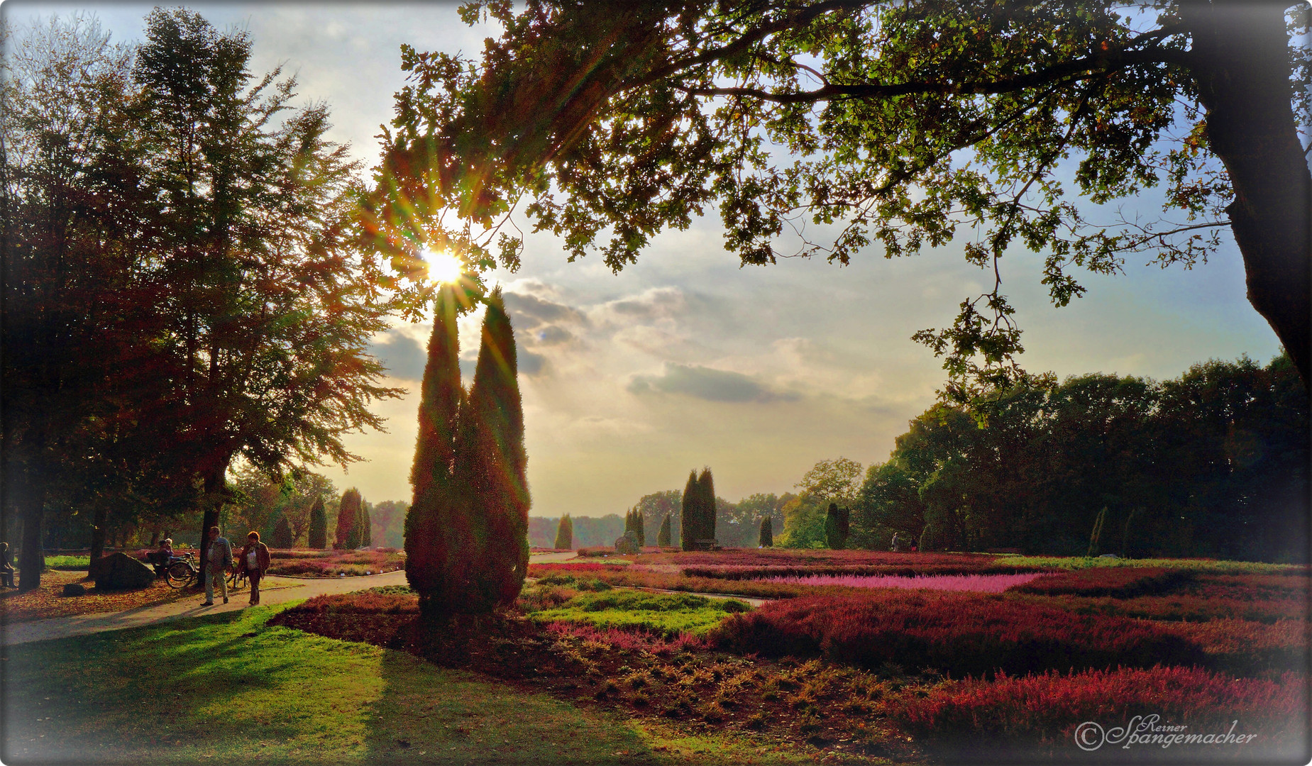 Heidegarten im Licht der untergehenden Oktober-Sonne