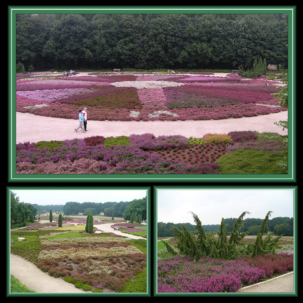 Heidegarten in Schneverdingen