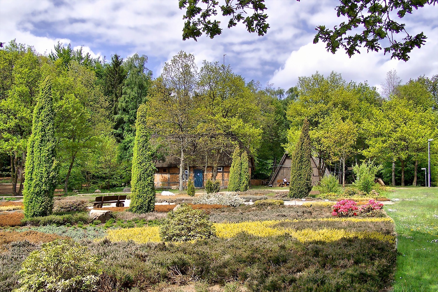 Heidegarten, Schneverdingen Foto &amp; Bild deutschland