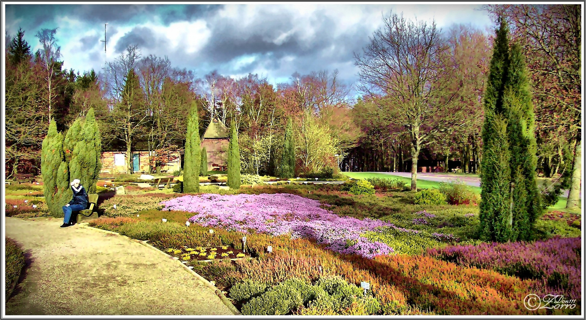 Heidegarten Schneverdingen Foto & Bild deutschland, europe