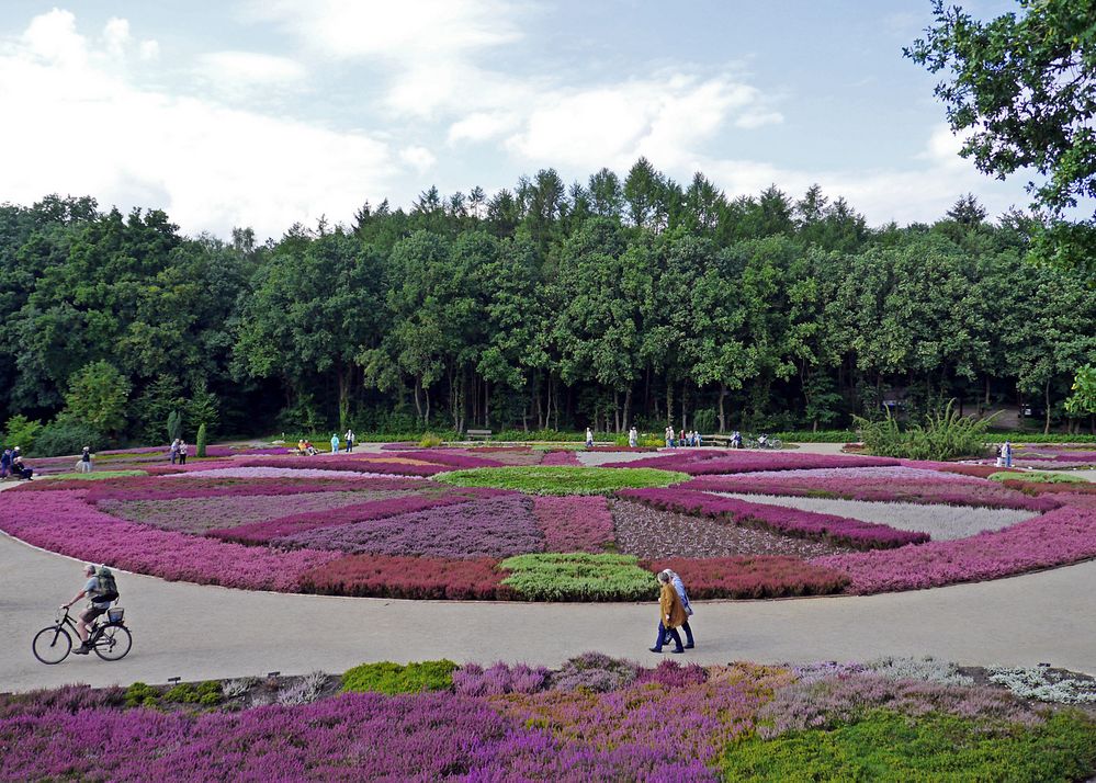 Heidegarten Schneverdingen Foto & Bild landschaft, garten