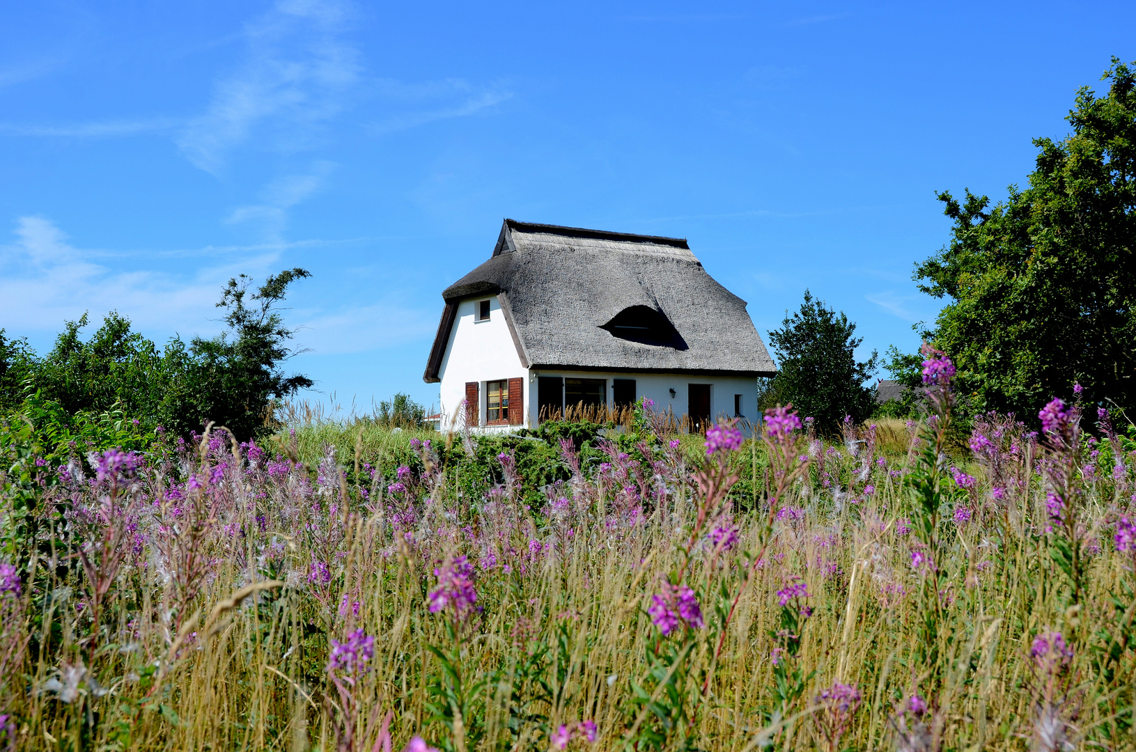 Heidehaus Insel Hiddensee