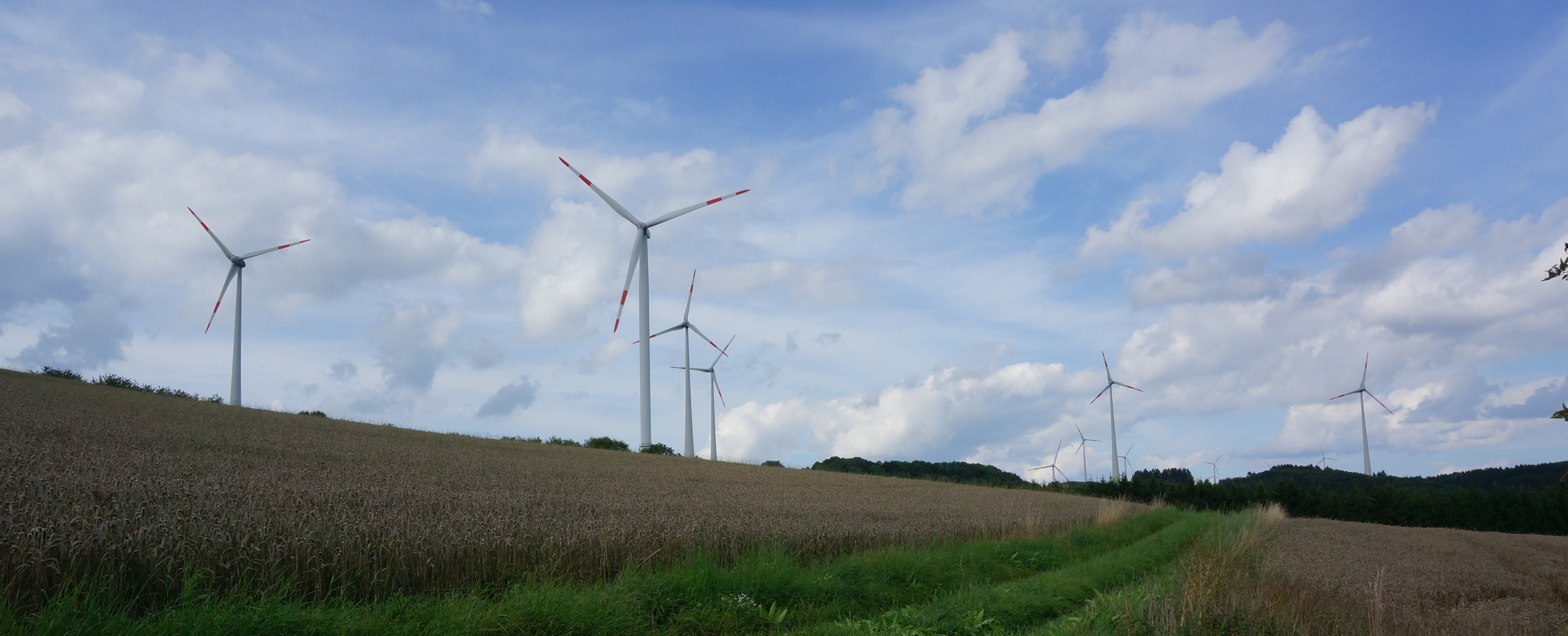 Heidehimmel Volkesfeld