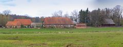 Heidehöfe an der Illmenau_D4A1939