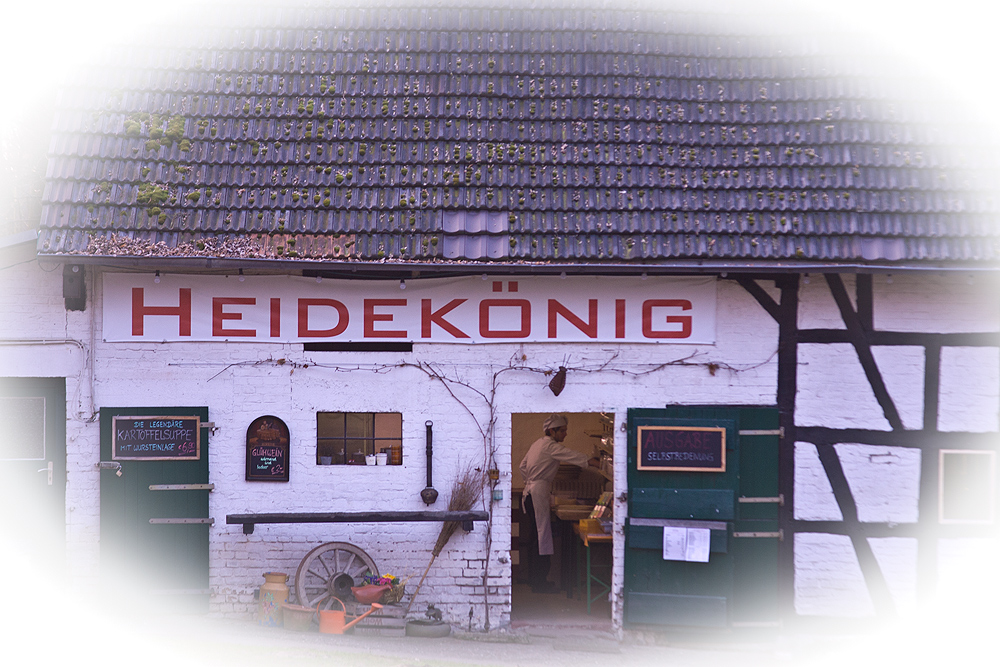 Heidekönig