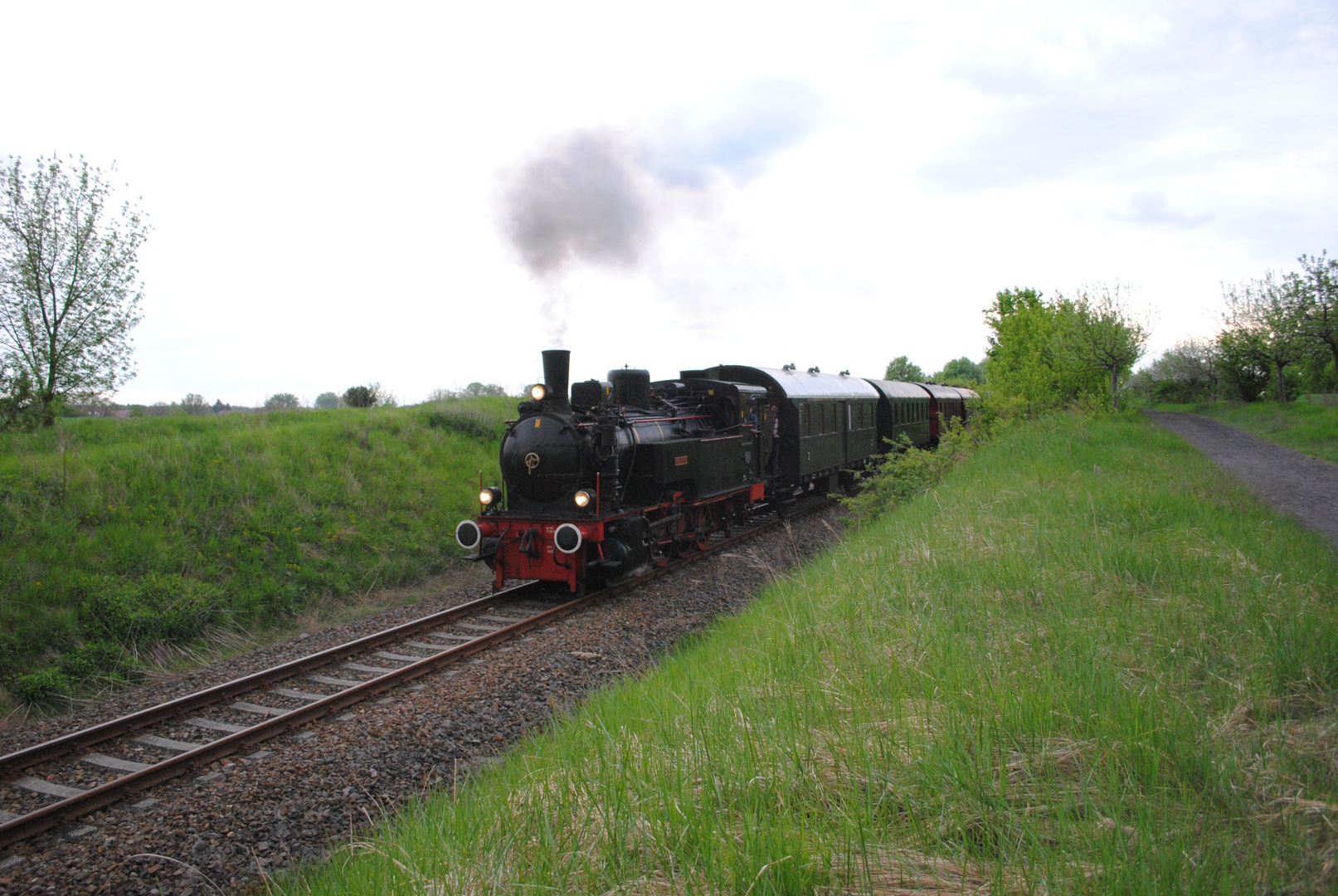 Heidekraut Bahn Dampflok 