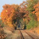 heidekrutbahn im herbst