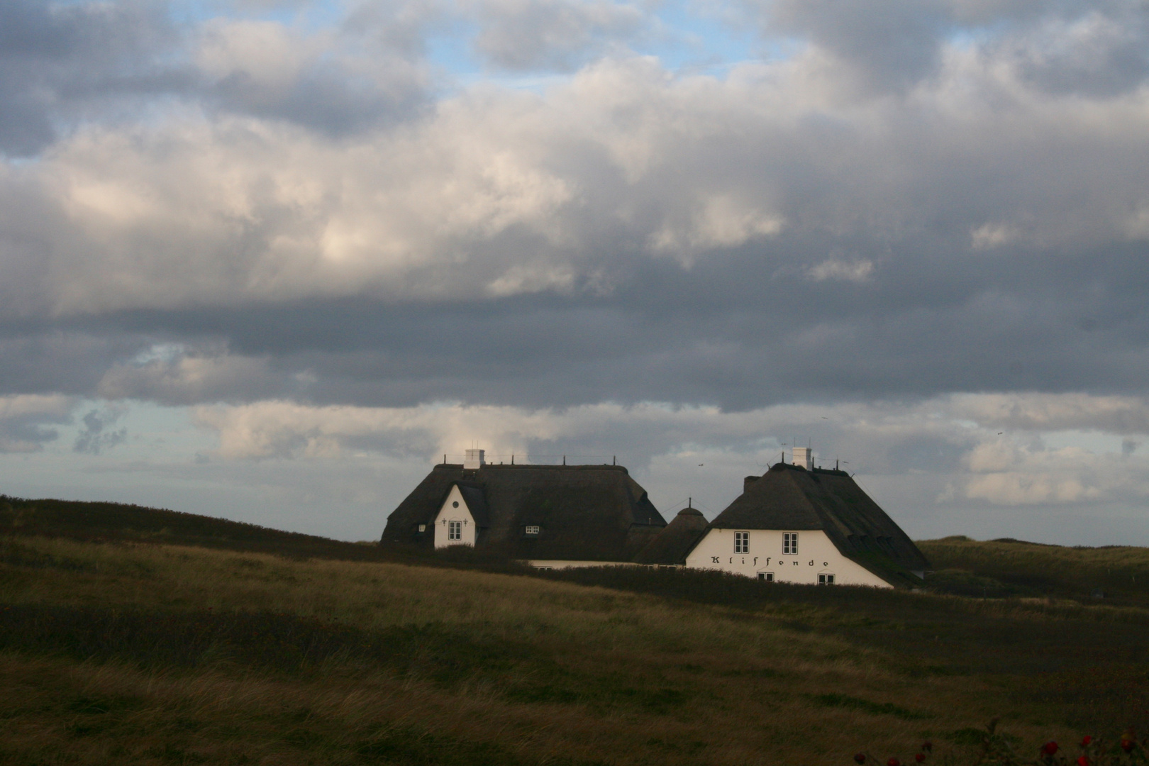 Heidelandschaft am Kliff