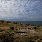 Heidelandschaft am Meer