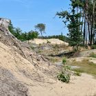 Heidelandschaft bei Hechtel (B)i