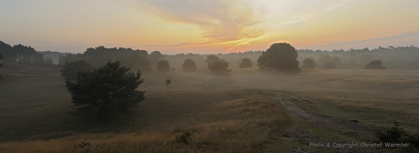 Heidelandschaft bei Sonnenaufgang (D)