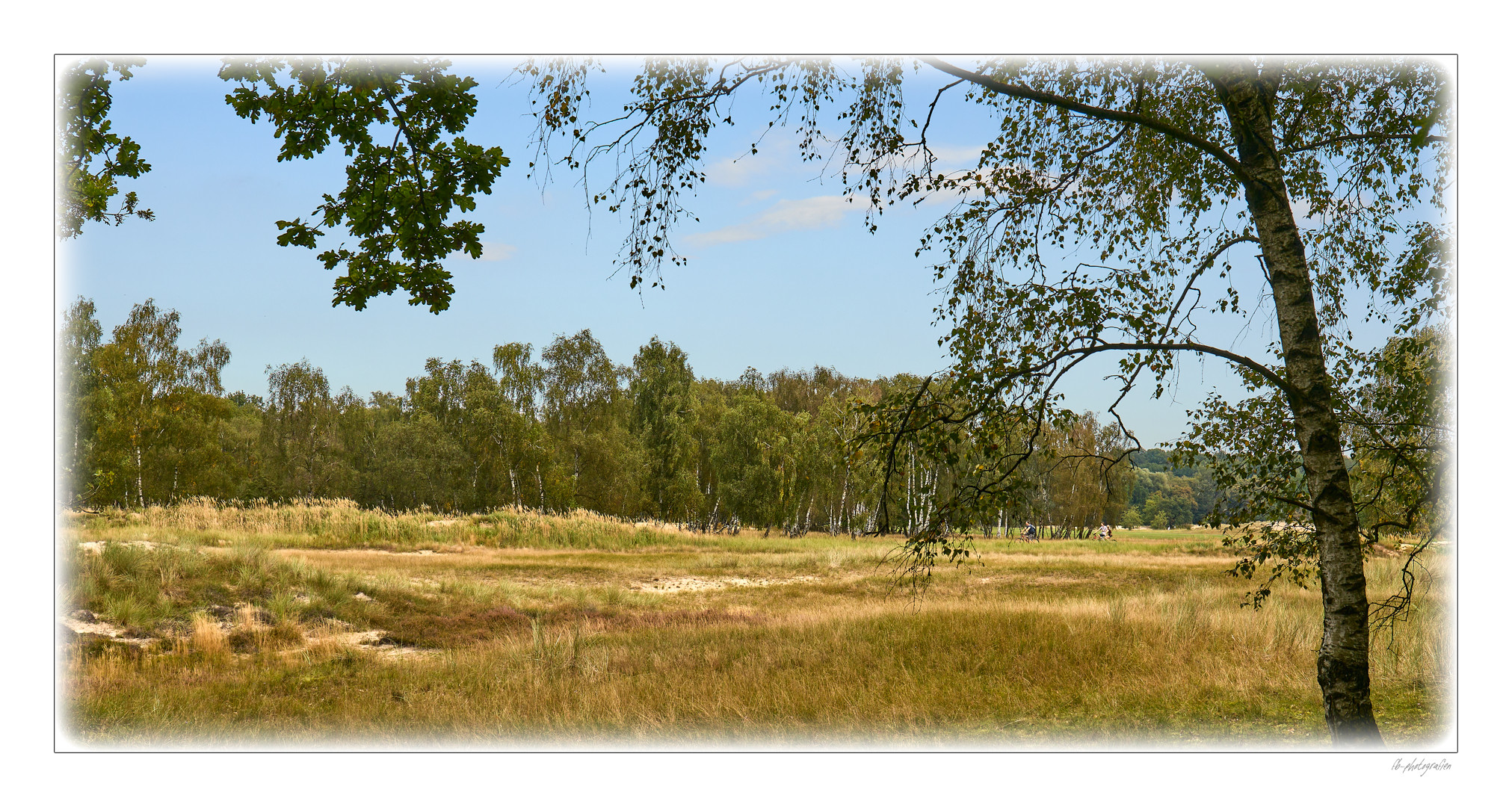 Heidelandschaft im Herbst