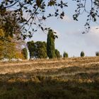 Heidelandschaft im Herbst VII