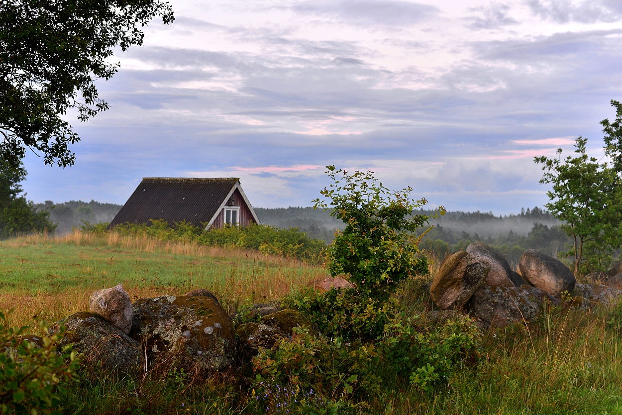 Heidelandschaft in Halland