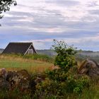 Heidelandschaft in Halland