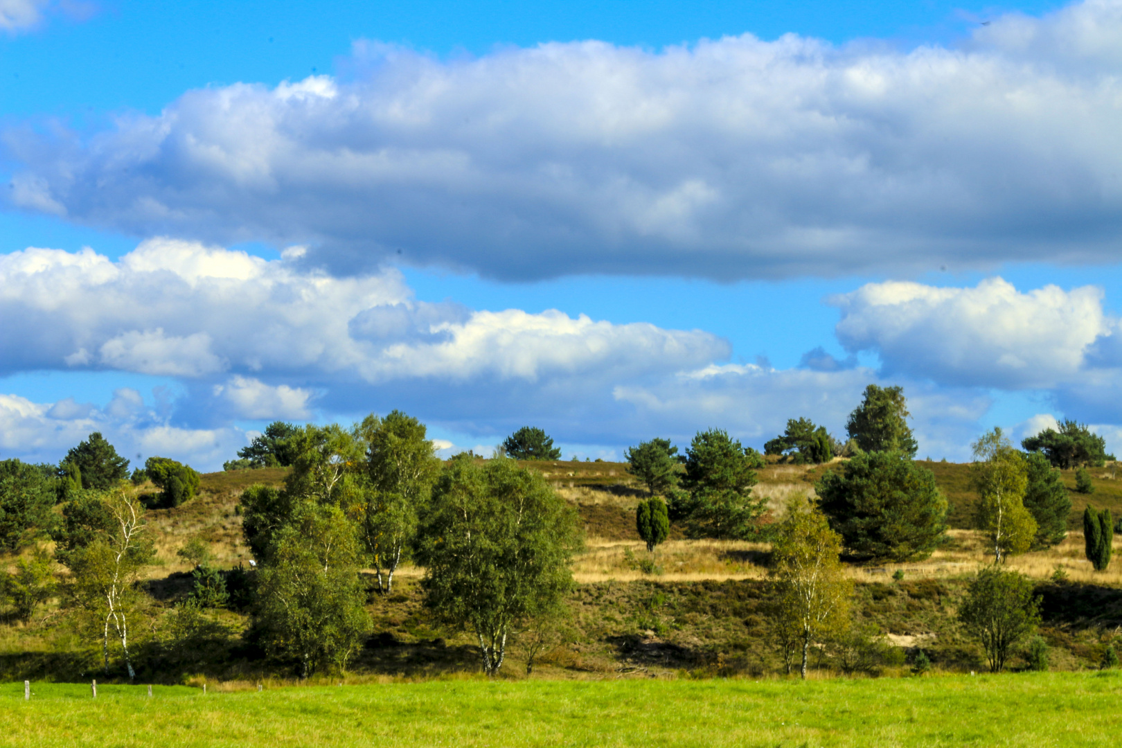 Heidelandschaft in Niedersachsen! Foto & Bild  landschaft, heide, landschaften u. natu Bilder 