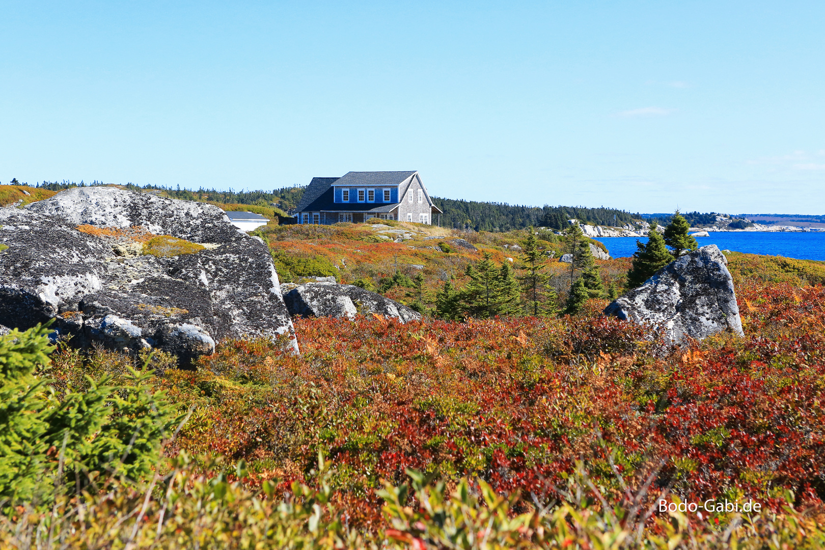 Heidelandschaft in Nova Scotia