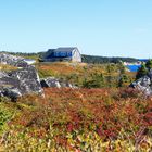 Heidelandschaft in Nova Scotia