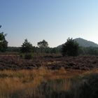 Heidelandschaft mit Bergehalde