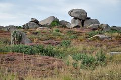 Heidelandschaft mit Felsen