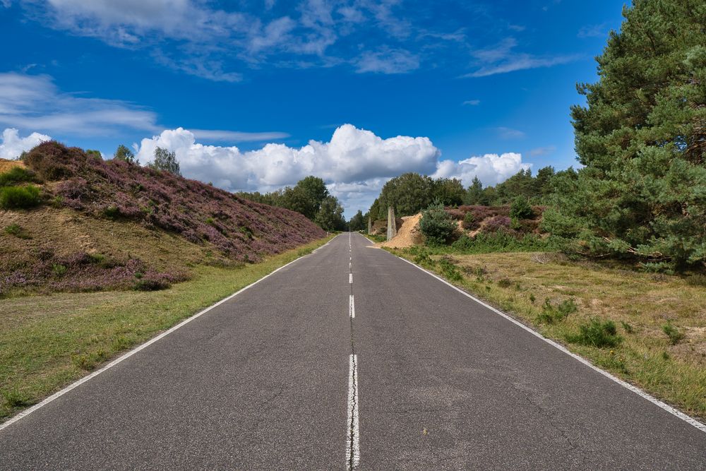 Heidelandschaft mit Straße Foto & Bild | landschaft, jahreszeiten