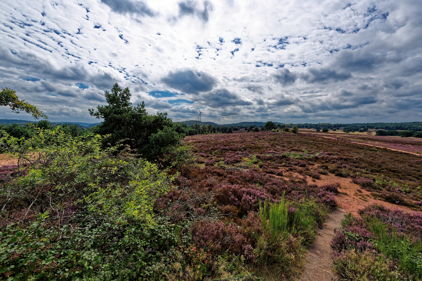 Heidelandschaft mit Wolken