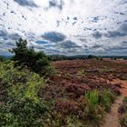 Heidelandschaft mit Wolken