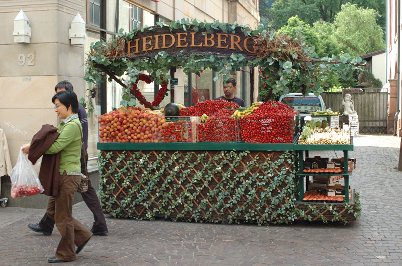 Heidelbeeren