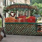 Heidelbeeren