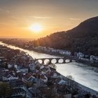 **Heidelberg**